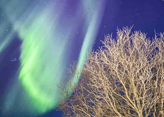 Vakantiehuis 6 Person In Rebbenes